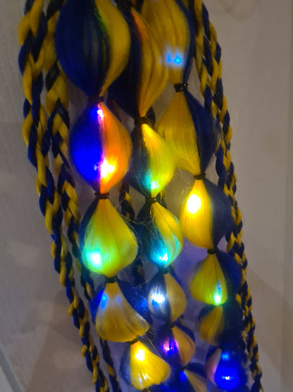 Light Up Braids