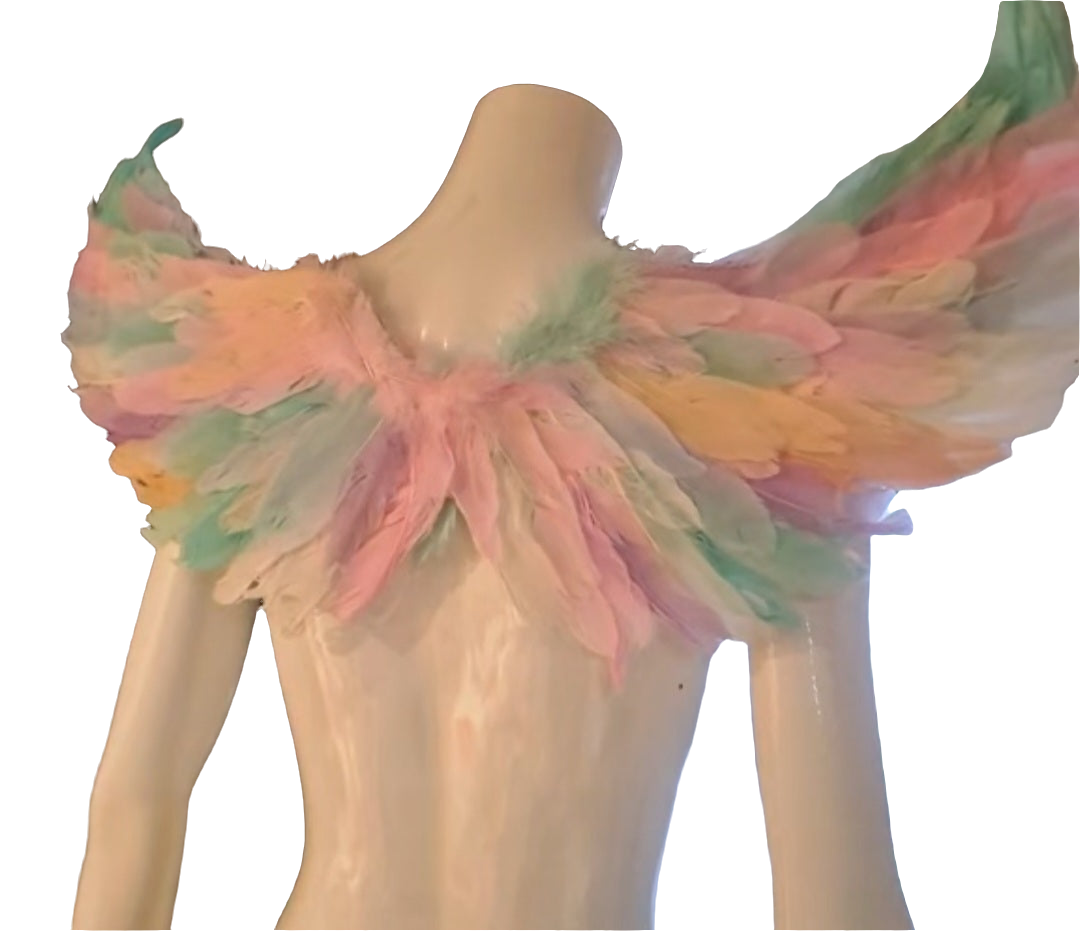 Light Up Angel Wings