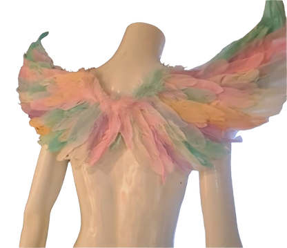 Light Up Angel Wings