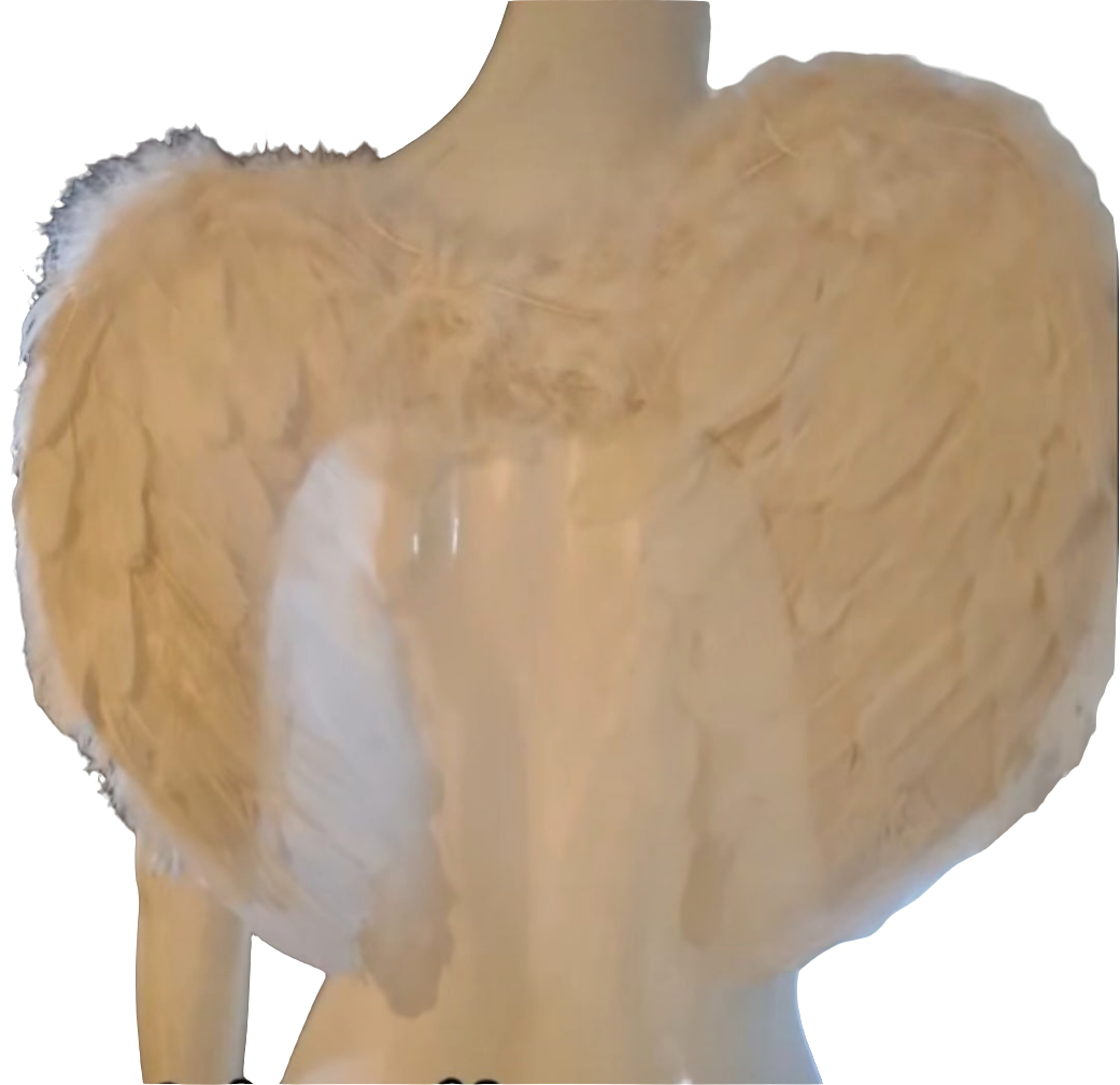 Light Up Angel Wings