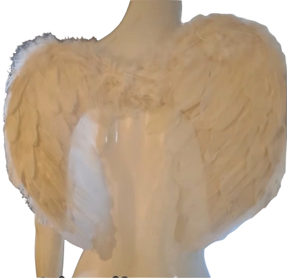 Light Up Angel Wings