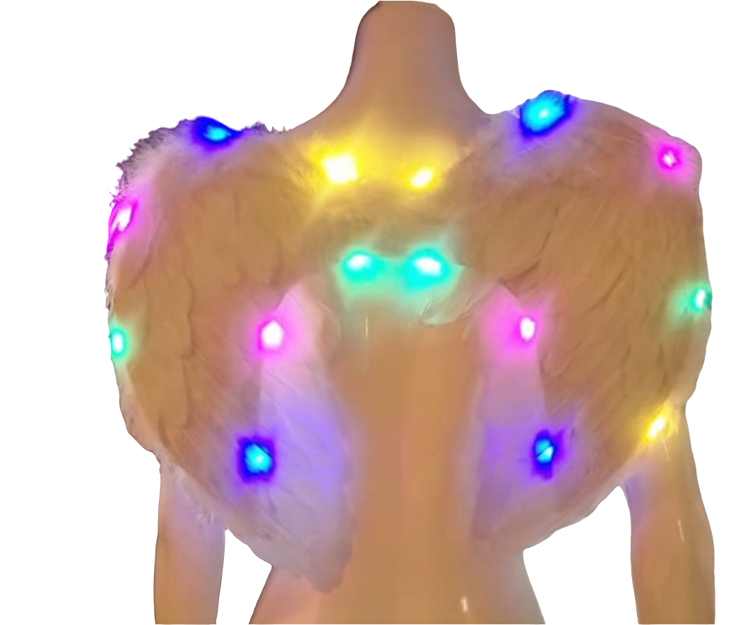 Light Up Angel Wings