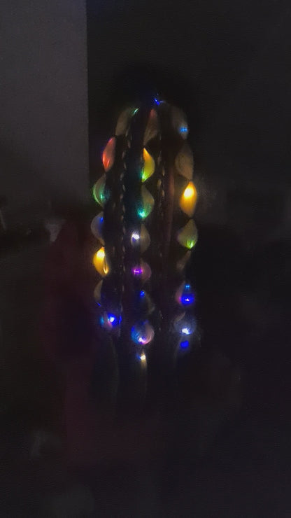 Light Up Braids